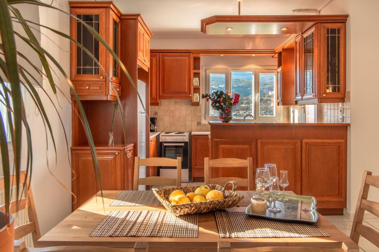 Apartament Eleni'S Seaview House Ándros Zewnętrze zdjęcie